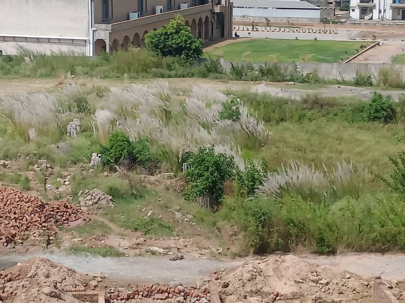 Picture of the Property