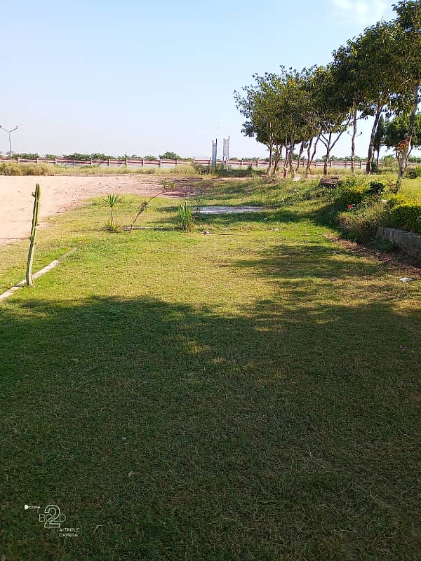 Picture of the Property