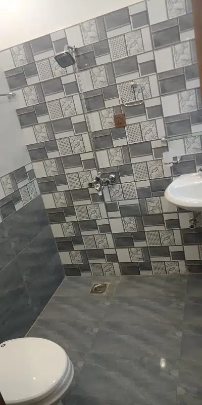 Picture of the Property