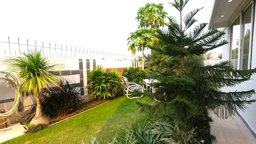 Picture of the Property
