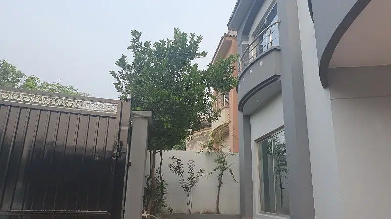 Picture of the Property