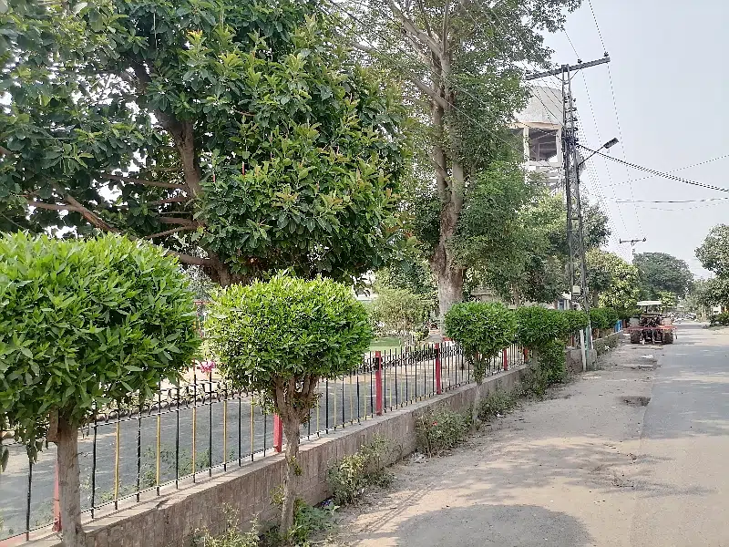 Picture of the Property