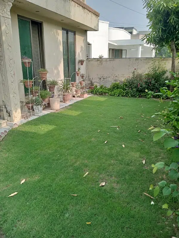 Picture of the Property