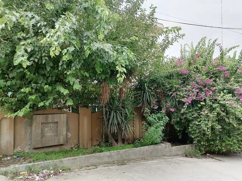 Picture of the Property