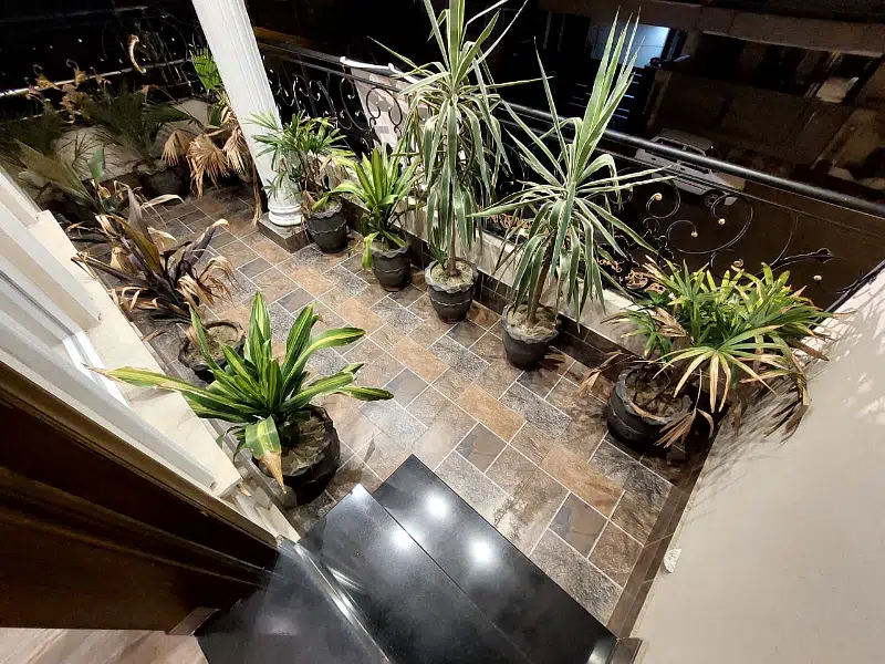 Picture of the Property