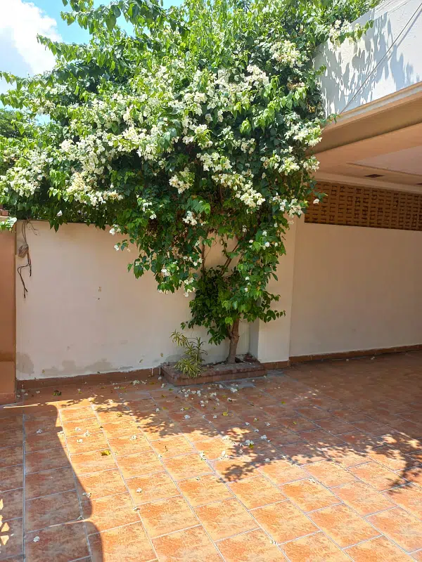 Picture of the Property