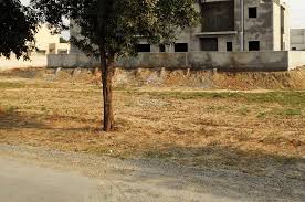 Picture of the Property