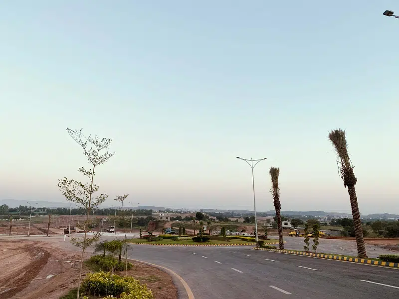 Picture of the Property