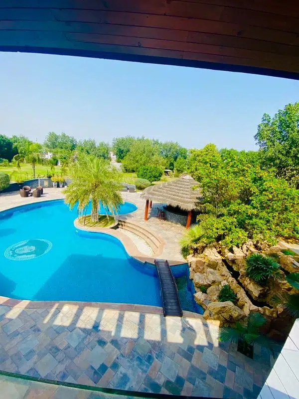 Picture of the Property