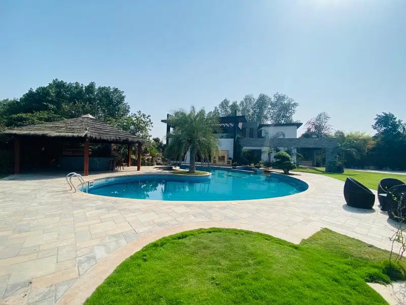 Picture of the Property