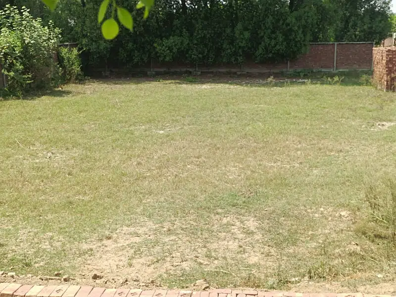 Picture of the Property
