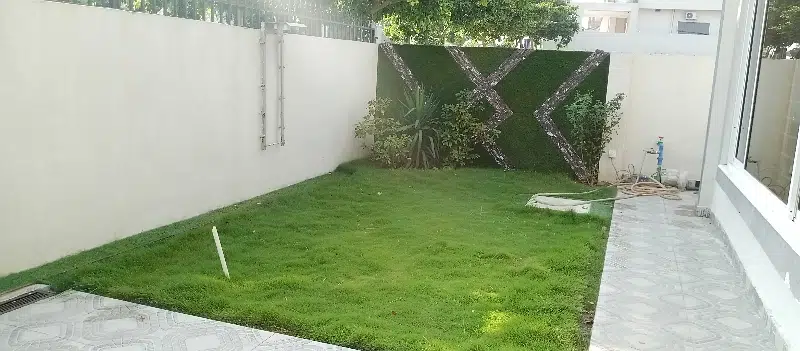 Picture of the Property