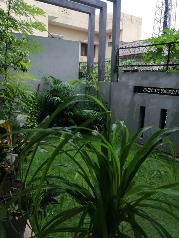 Picture of the Property