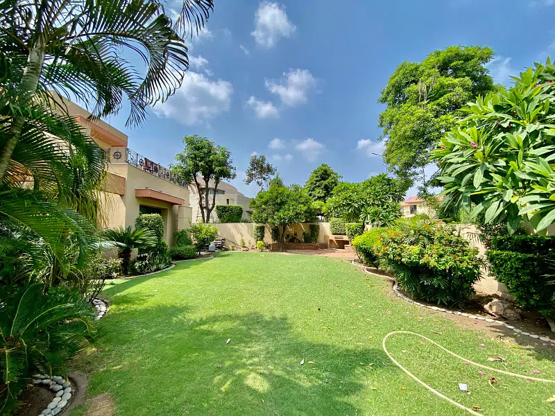 Picture of the Property