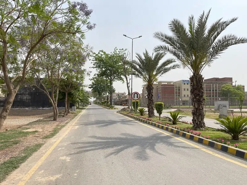Picture of the Property