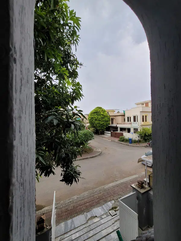 Picture of the Property