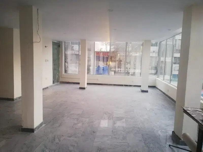 Picture of the Property