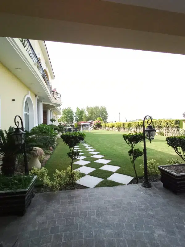 Picture of the Property