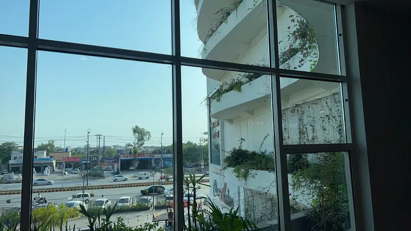 Picture of the Property