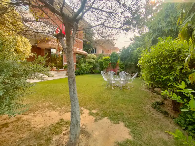 Picture of the Property