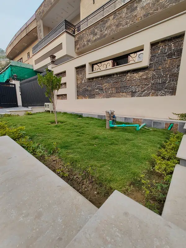 Picture of the Property