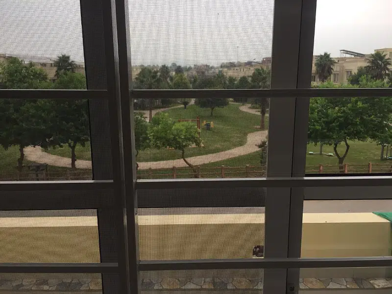 Picture of the Property