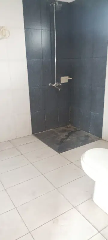 Picture of the Property