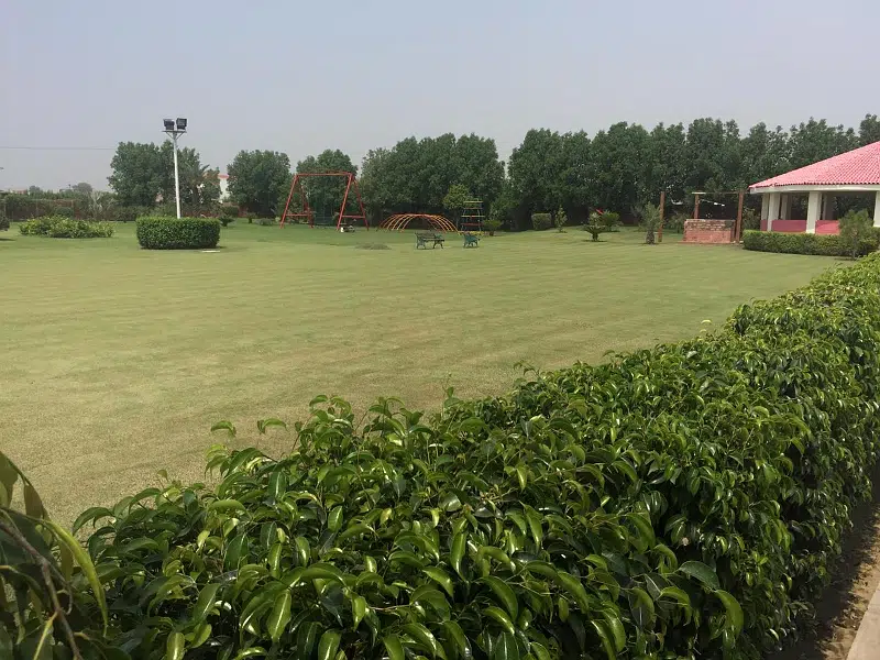 Picture of the Property