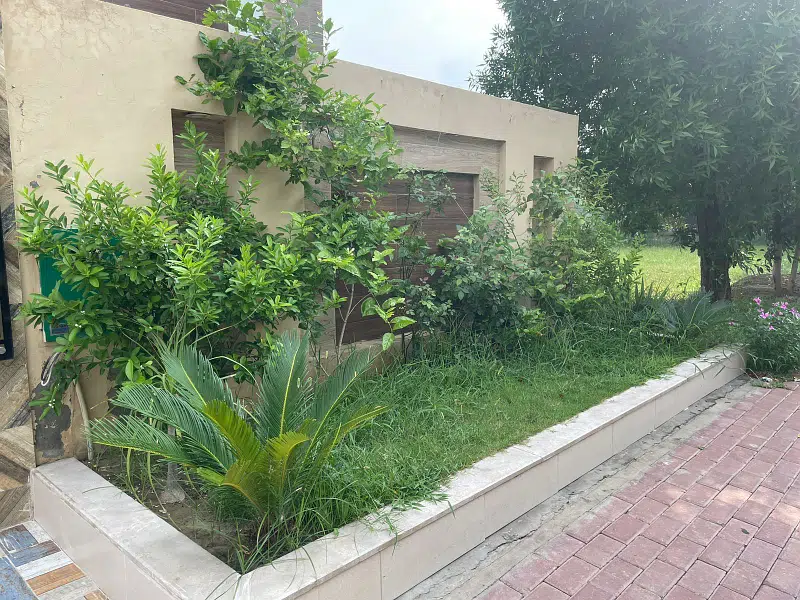 Picture of the Property