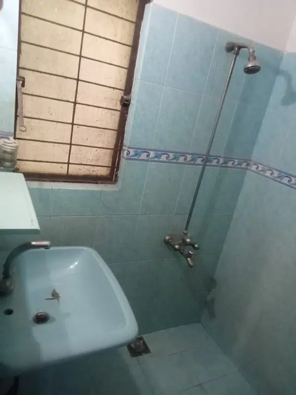 Picture of the Property