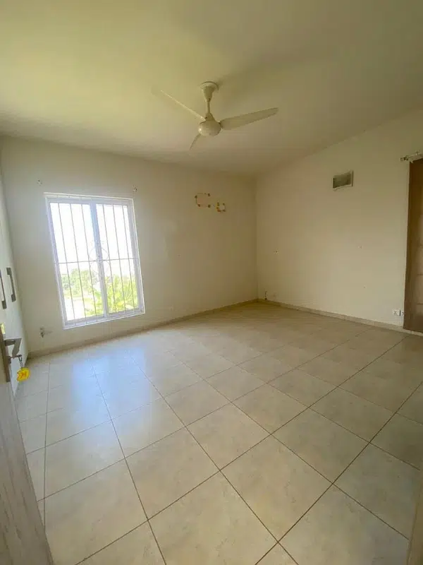 Picture of the Property