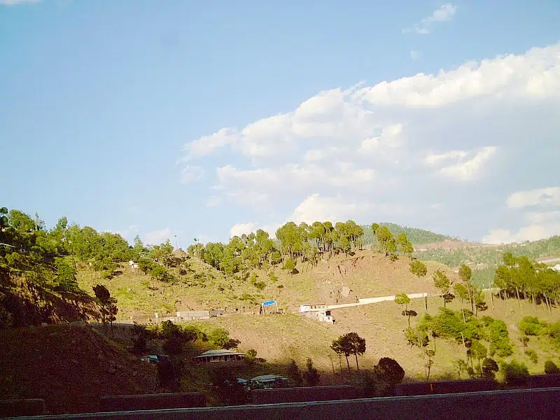 Picture of the Property