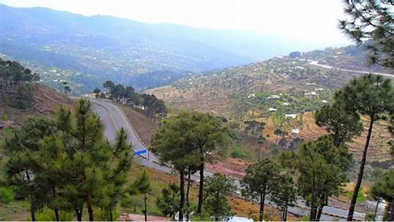 Picture of the Property