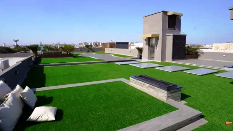 Picture of the Property