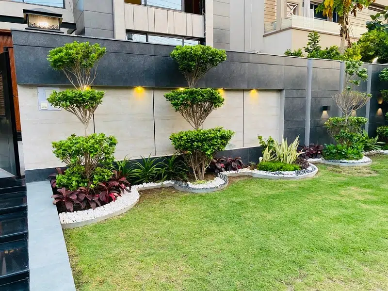 Picture of the Property
