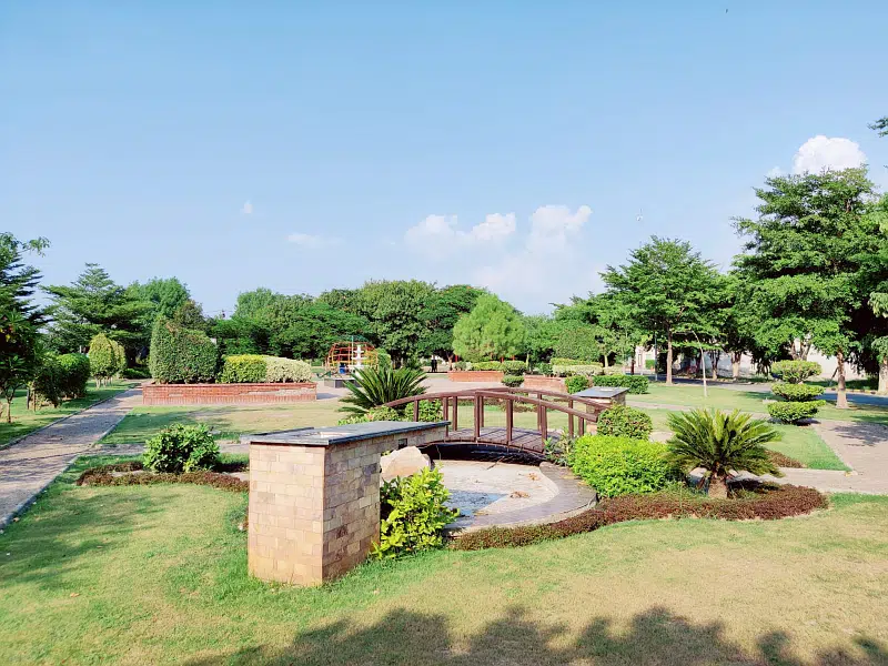 Picture of the Property