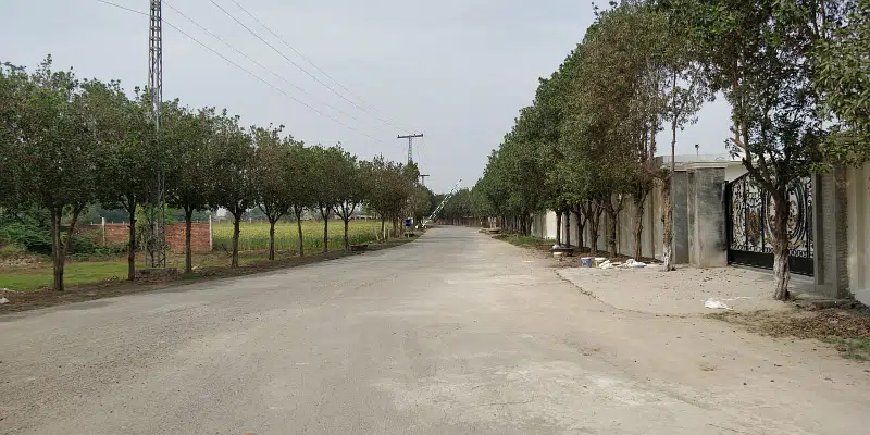 Picture of the Property