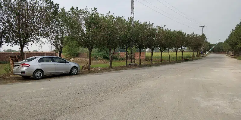 Picture of the Property