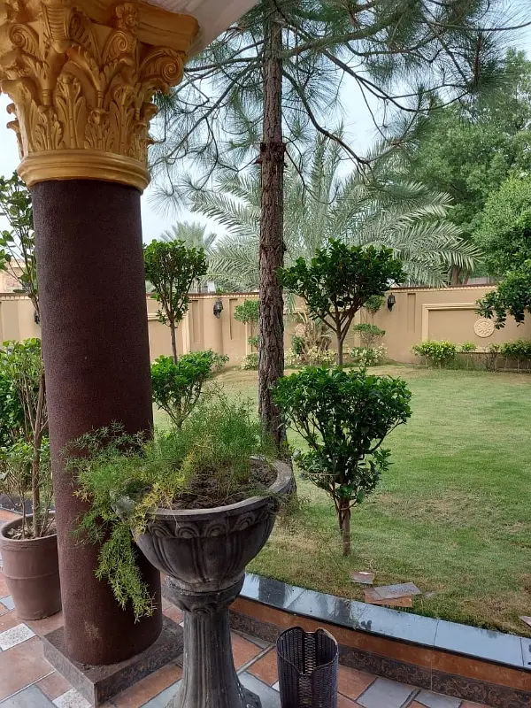 Picture of the Property