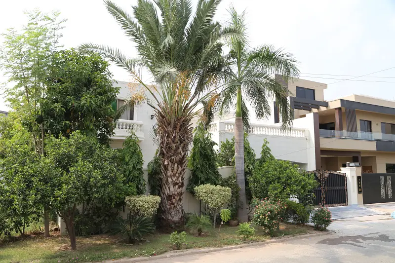 Picture of the Property