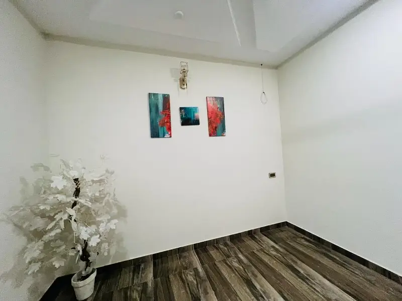 Picture of the Property