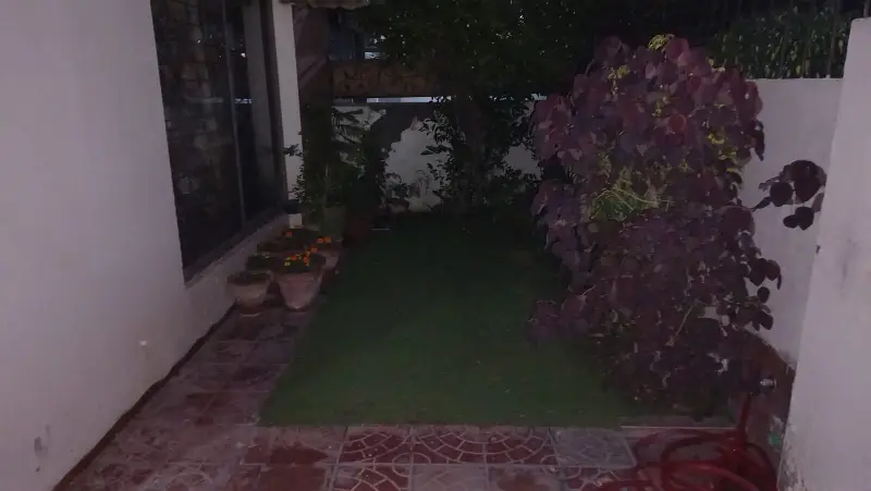 Picture of the Property