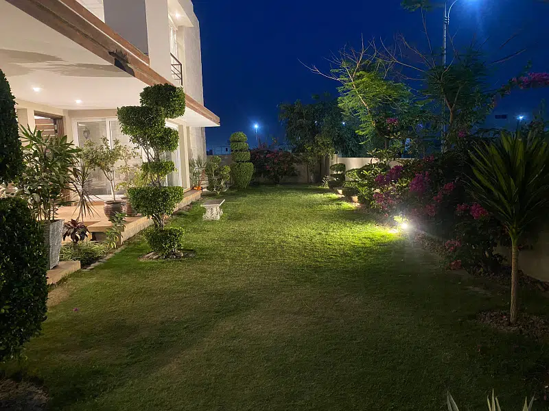 Picture of the Property