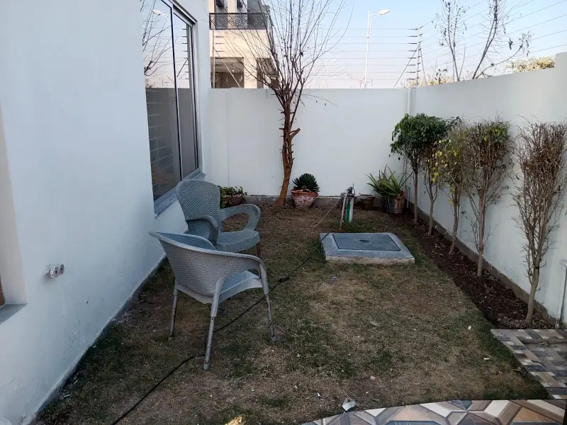 Picture of the Property