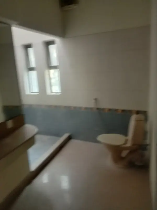 Picture of the Property
