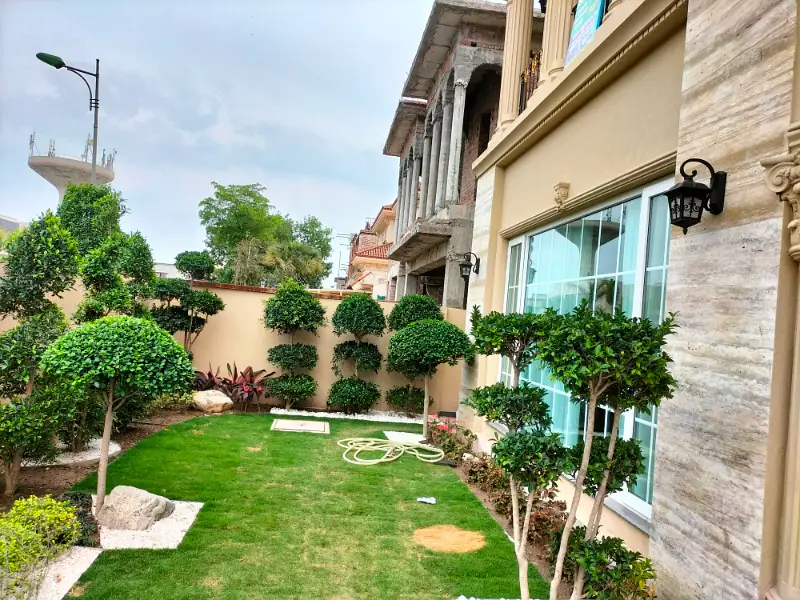 Picture of the Property