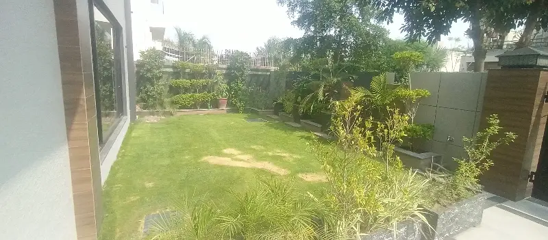 Picture of the Property