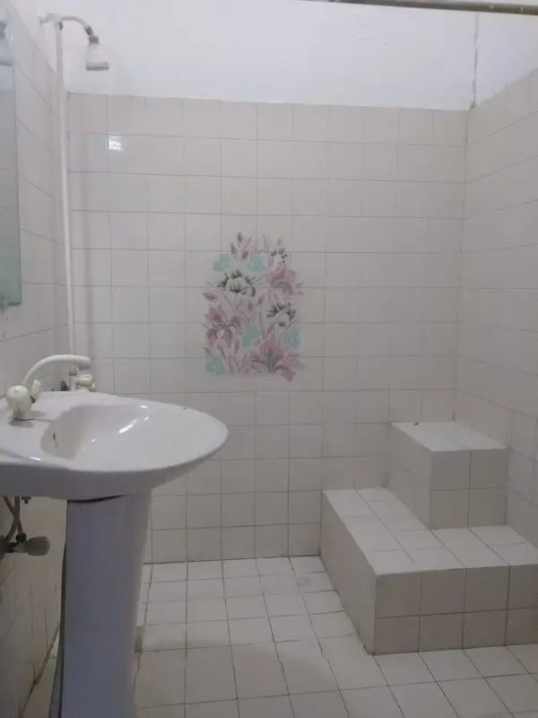 Picture of the Property