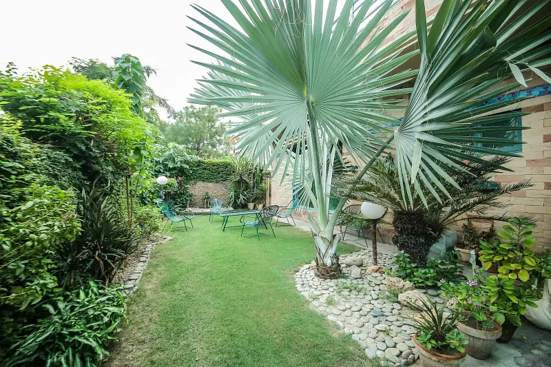 Picture of the Property