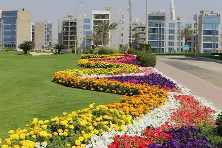 Picture of the Property